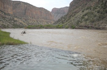 Fishing laws: Can you keep fish from a river?