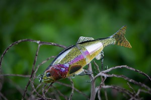 Do Electronic Fishing Lures Work?