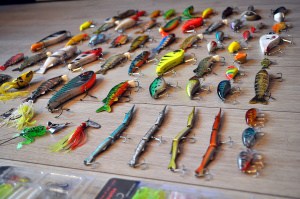 How to Freshwater Fish with Lures – a Must-Read for Newbies