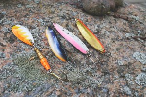 The 8 Best Lures for Freshwater Fishing?