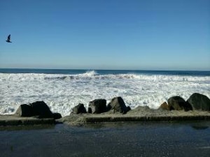 Can You Use a Lake Fishing Pole in the Ocean?