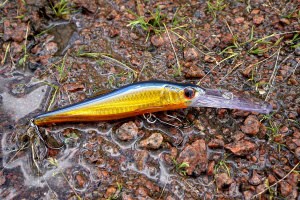 How to Attach a Lure to a Leader