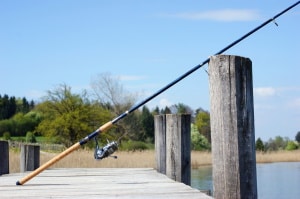 Are Fishing Rods Expensive?