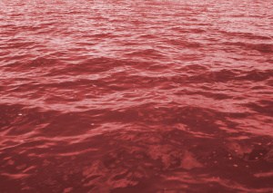 Is It Safe To Fish During Red Tide?