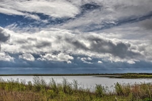 Do fish bite more on sunny or cloudy days?