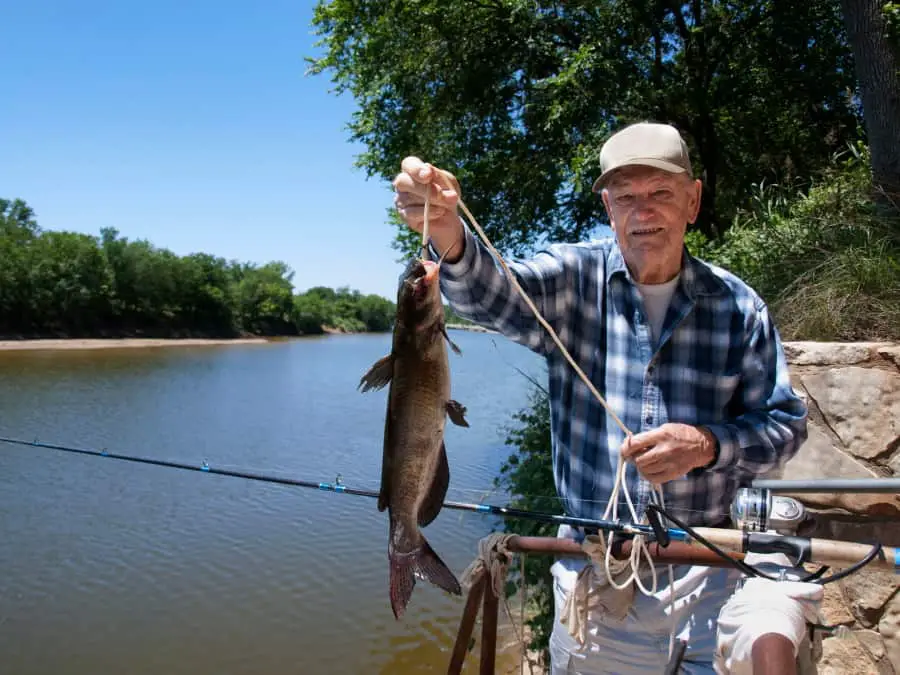 How to Catch Catfish Fish Without Live Bait – Mountain Trails Fishing